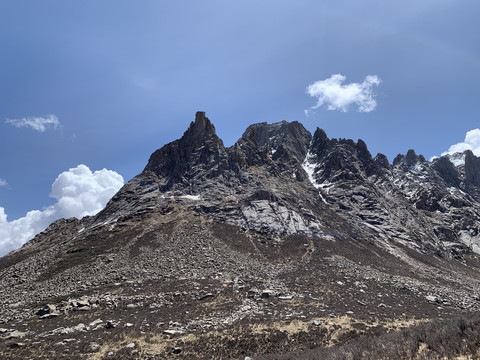 莲宝叶则风景