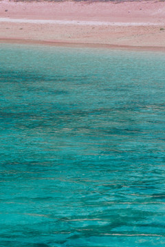 科莫多粉色沙滩