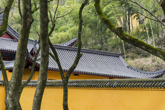 绍兴新昌大佛寺