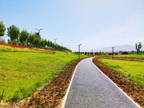 景观步道