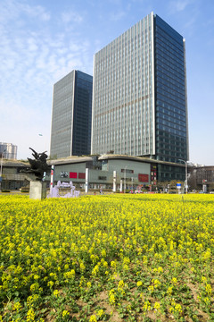 天津市滨海新区泰达广场