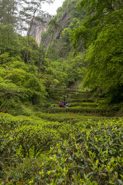 武夷山风光