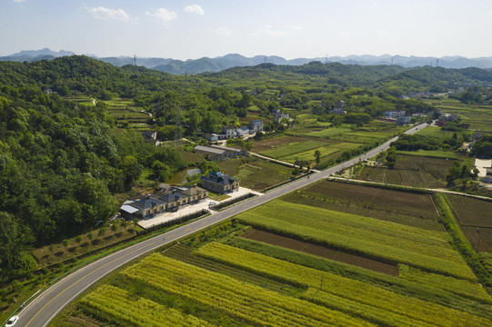 乡村公路航拍