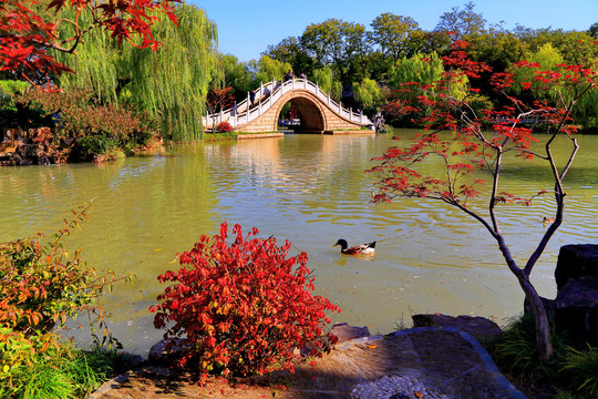 瘦西湖秋景