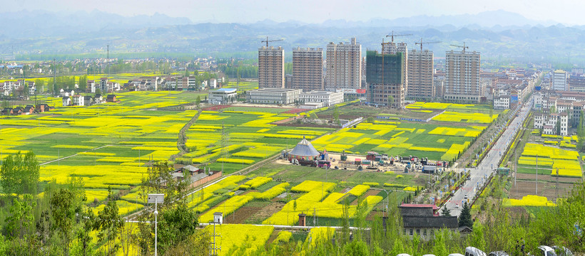 花海中的城市