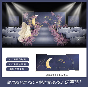 紫色星空舞臺效果圖