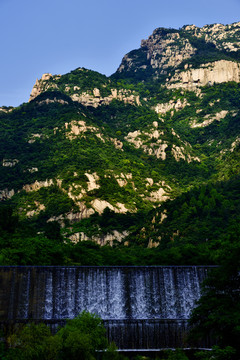 高山春天新绿