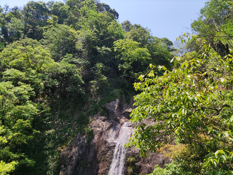 瀑布山间树木风景