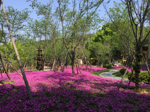 东林寺佛教净土宗发源地