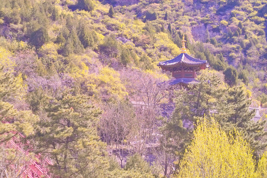 山西太山景区