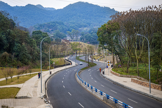 重庆歌乐山S形山地公路