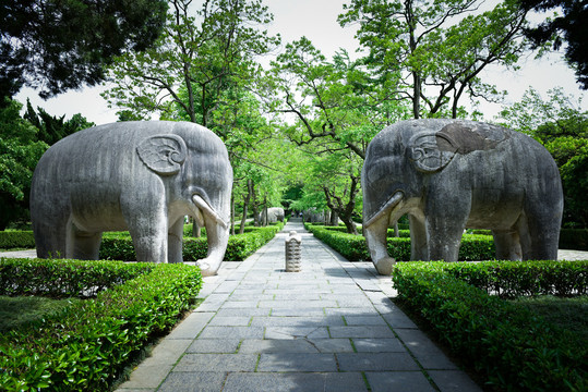 明孝陵神道大象