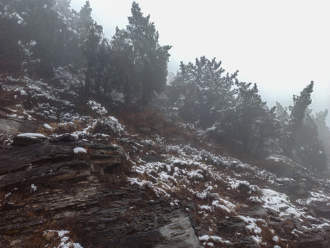 雪后山景