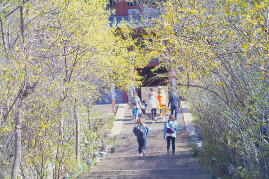 太原太山景区