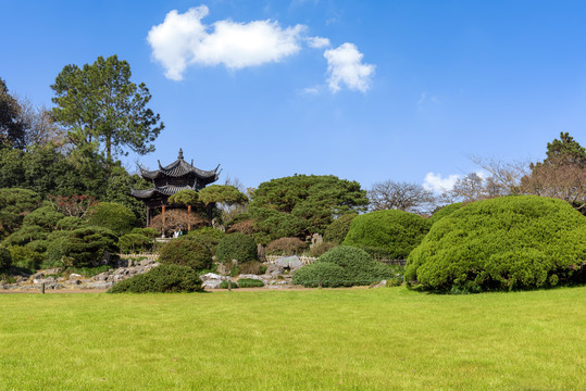 杭州西湖花港观鱼园林景观秋景