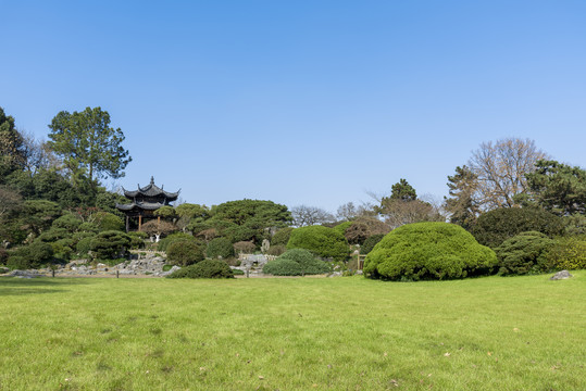 杭州西湖花港观鱼园林景观秋景