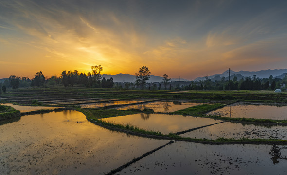 梯田朝霞