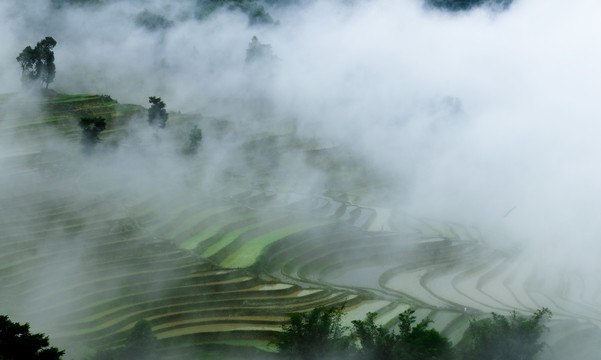 元阳梯田