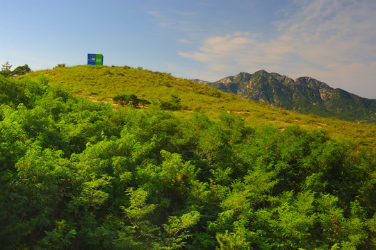 山顶护林房