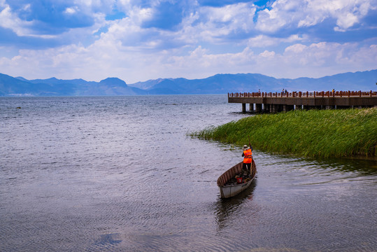 云南抚仙湖湿地