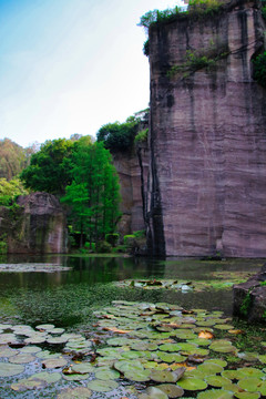 莲花山