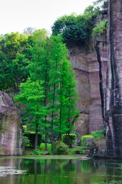 莲花山