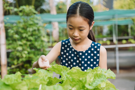 亚洲小孩第一次在有机农场收获蔬菜。