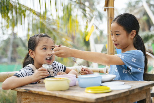 大姐用勺子给小妹喂食，从平底锅到大自然中木桌上的食物容器。