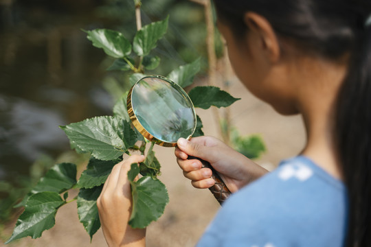 亚泰小女孩手持放大镜观察自然界的植物。用放大镜看植物。