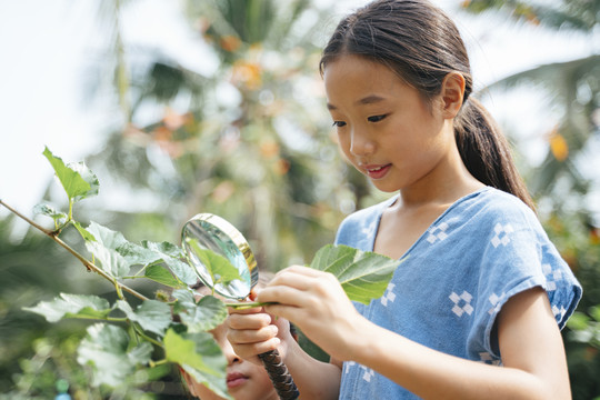 亚泰小女孩手持放大镜观察自然界的植物。用放大镜看植物。