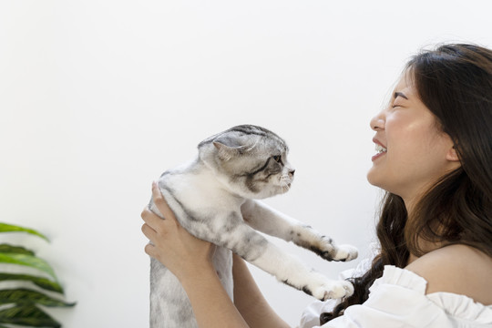 可爱的女孩举起毛茸茸的猫。猫毫无表情地看着主人。