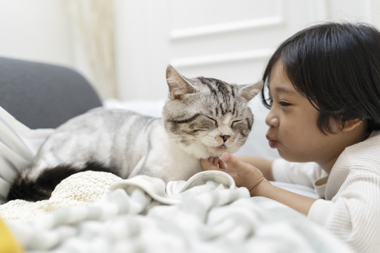 亚洲可爱的小男孩在沙发上亲吻毛茸茸的猫。