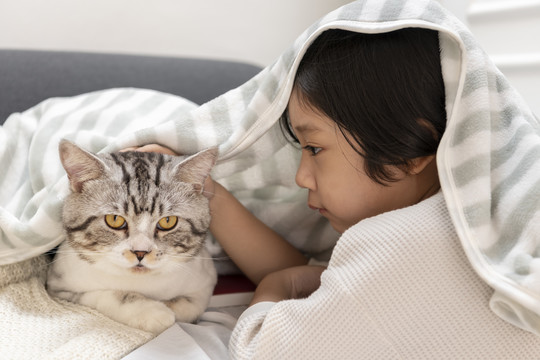 亚洲可爱的小男孩在毯子下面玩猫。