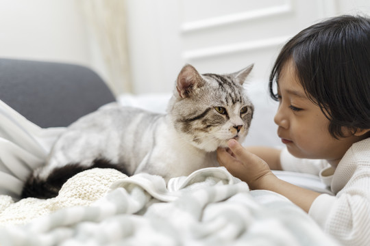 亚洲可爱的小男孩在沙发上亲吻毛茸茸的猫。