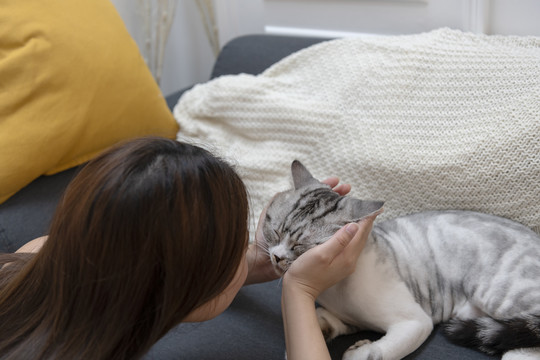 绒毛猫在沙发上休息。用猫的脸颊和它玩耍的女人。