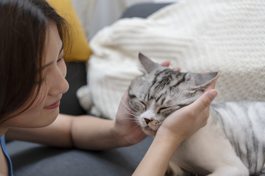 绒毛猫在沙发上休息。用猫的脸颊和它玩耍的女人。