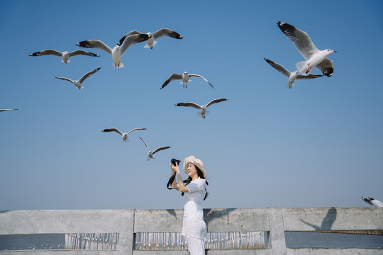 一位身穿白色连衣裙、头戴白帽的长发女子站在码头上，为蓝天上的海鸥拍照。