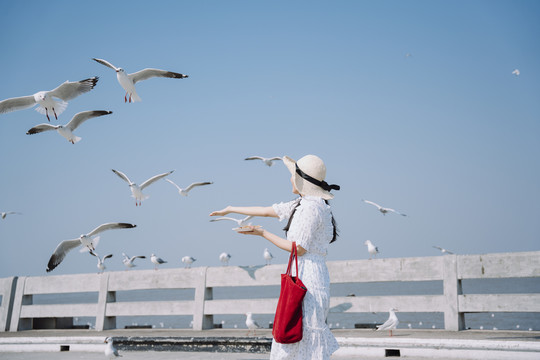 一位身穿白裙白帽的长发女子拿着红袋子，在码头上喂海鸥。