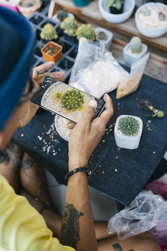 一个穿黄色t恤的男人把仙人掌种在花盆里，用可爱的石头装饰花盆，把仙人掌放在更大的花盆里，完成移动，用