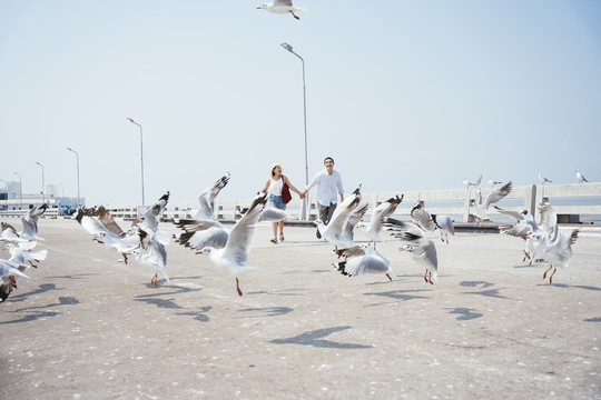 亚泰夫妇手牵手走过海边大桥上的海鸥群。暑假。