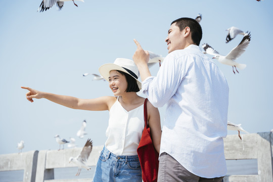 一对亚泰夫妇在海边大桥上欣赏观光，看着一群海鸥在他们周围飞翔。神奇的野生动物。