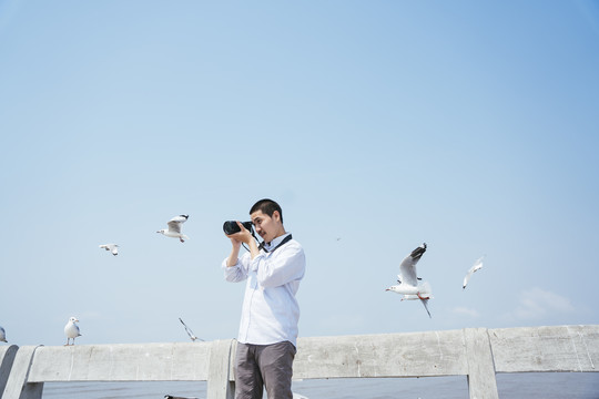野生动物摄影师-一名男子用相机拍摄一群海鸥在海边飞来飞去。
