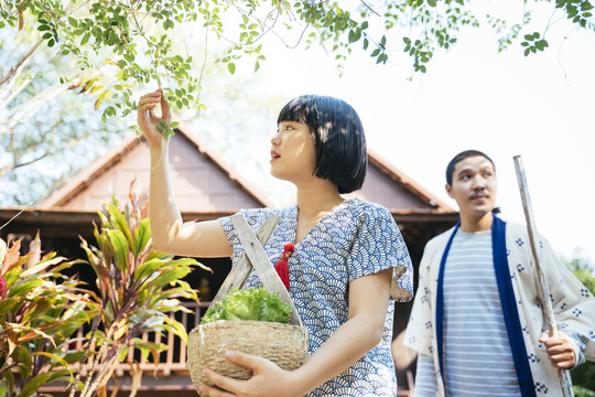 生态旅游-美丽的亚洲泰国鲍勃发型收获蔬菜水果从树上，而她的丈夫走在后面。
