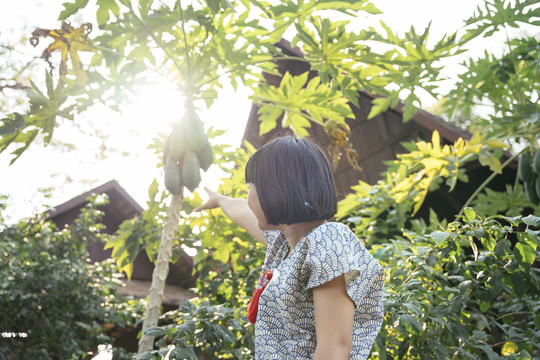 生态旅游概念。女人鲍勃头发的背面视图指向树上的木瓜果实。