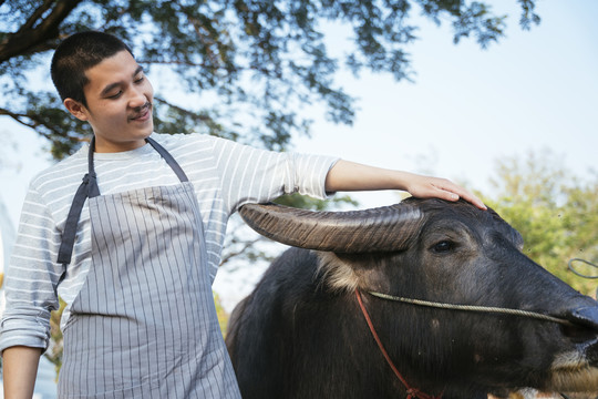 皮头亚裔泰国男子站在水牛。当地旅游业。当地农民和水牛。