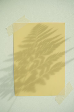 在黄色纸上用植物树影模拟空白拷贝空间。顶视图。