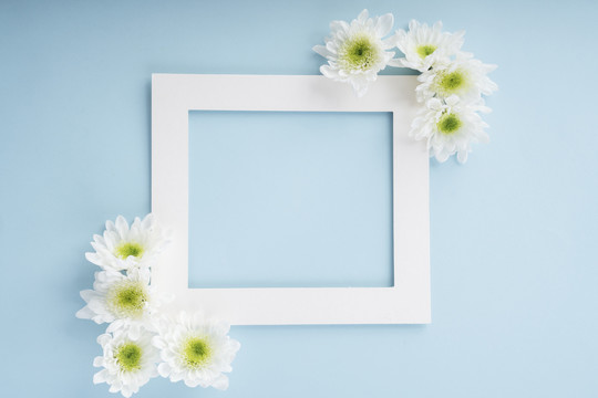 模型白色框架，明亮的蓝色背景上有花朵。花季概念。