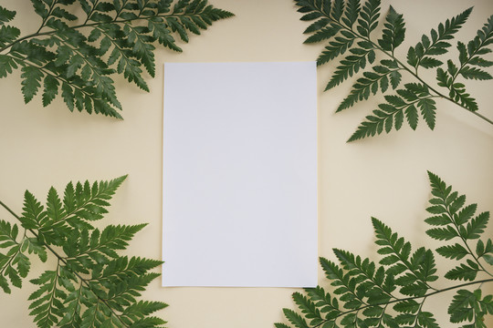 热带绿叶，米色背景上有白色模拟纸，有文字空间。平铺。