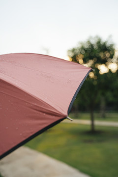 雨滴上一把红伞，雨滴上一把红伞，雨滴深浅上一把红伞，雨伞上一把红伞。户外自然。