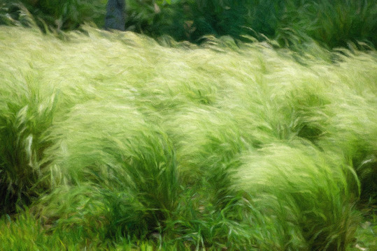裝飾畫